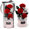 Little Bear True Flower Rose Protection Flower Valentine'S Day Gift Hug Bucket Gift Box Eternal Flower Rose round Bucket